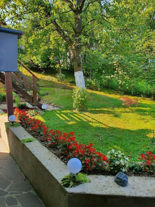 Casa Mea De Vacanta Baia-Sprie Ngoại thất bức ảnh